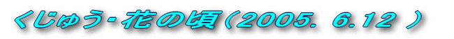 RzxiQOORDXDPTj