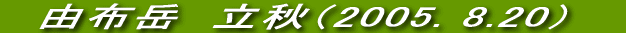 Rzx@H@iQOOTDWDQOj