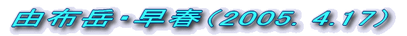 RzxiQOORDXDPTj