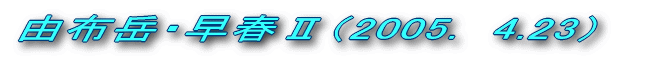 RzxiQOORDXDPTj