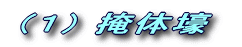 @(1) ̍