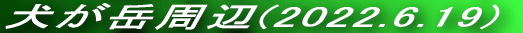 pFR(2017.5.7) 